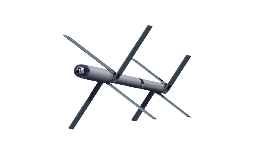 Anti-Swarming Loitering Missile System